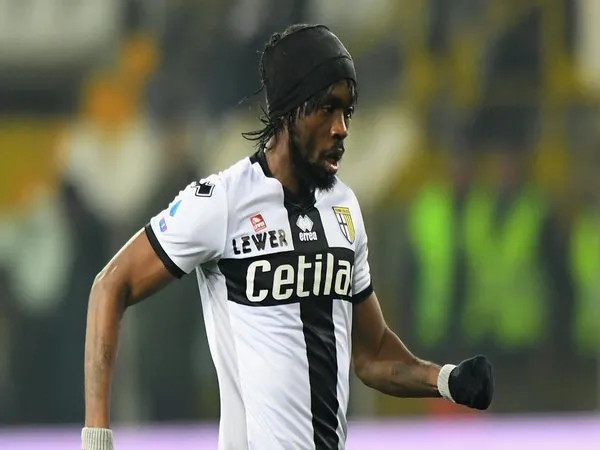 Gervinho Kembali Bela Parma Akhir Pekan Ini?