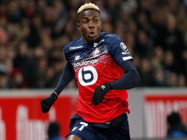 Napoli Siap Kucurkan Rp 1,6 Triliun Untuk Duo Lille Ini