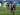 Atletico Madrid ditahan imbang Huesca