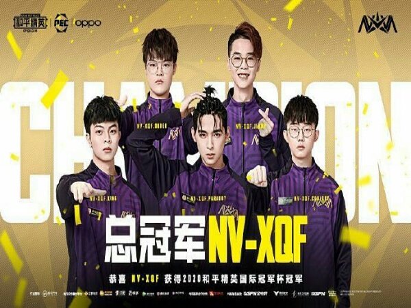 Salip Tim RNG, Nova XQF Juara Peacekeeper Elite Championship 2020