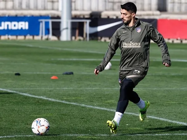 Suarez