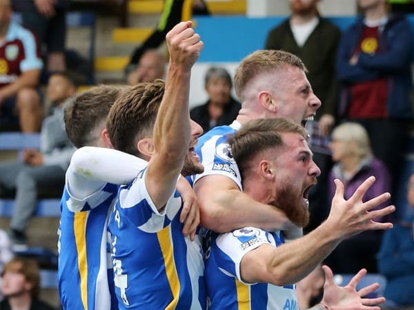 Brighton Alami Peningkatan dalam Hal Kualitas Skuat