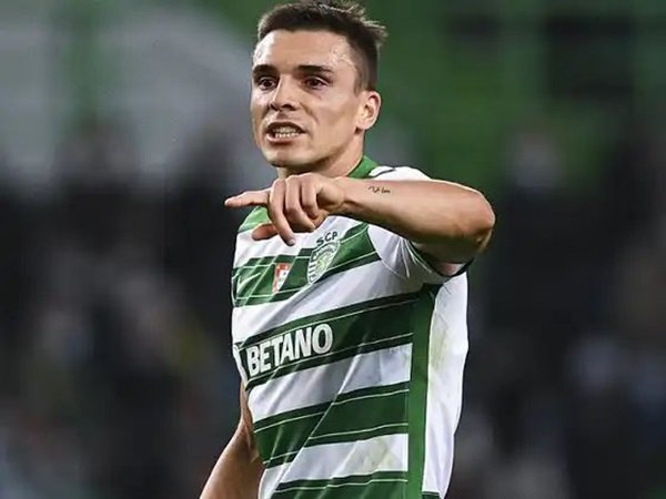 Kabar Terkini Perburuan Tottenham Pada Joao Palhinha dan David Carmo