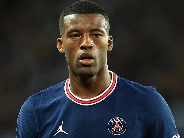 Everton Bidik Gelandang Paris Saint-Germain Georginio Wijnaldum