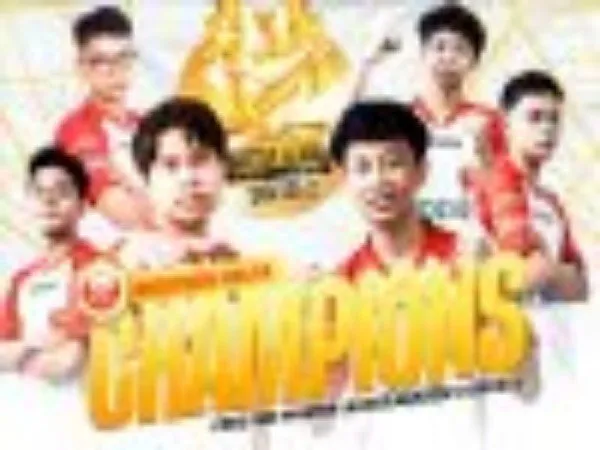 Bigetron Delta Sukses Menjuarai FFML Season VI Divisi 2