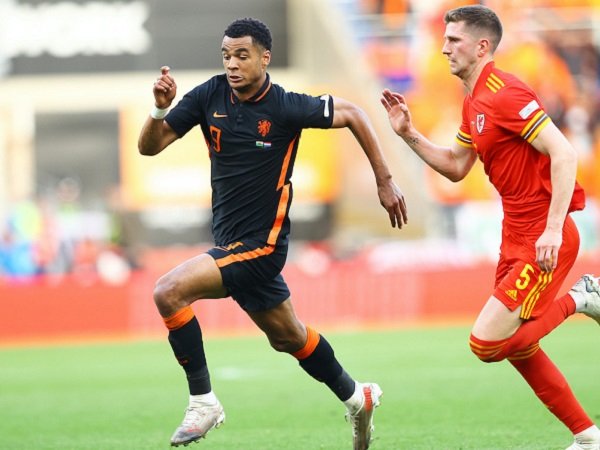 Milan Bakal Bersaing Dengan United dan Liverpool Buru Cody Gakpo