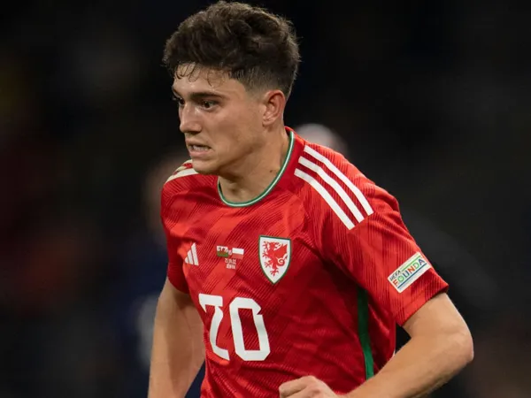 Wales Bisa Berbicara Banyak di Piala Dunia 2022, Klaim Dan James