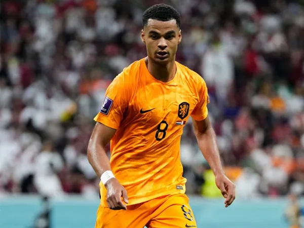 Penyerang timnas Belanda, Cody Gakpo.