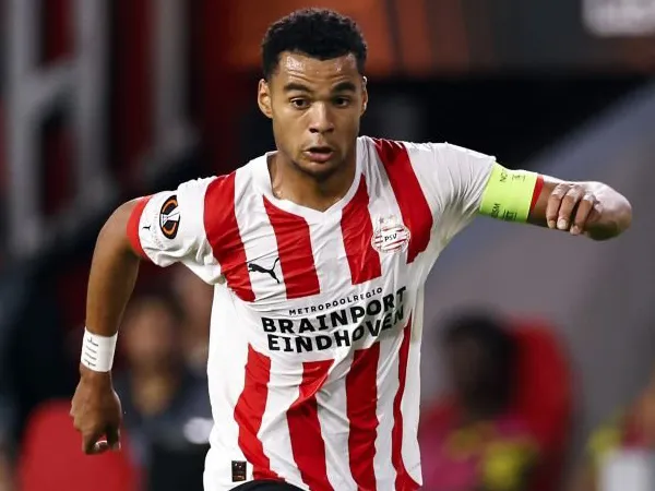 Striker PSV Eindhoven, Cody Gakpo.