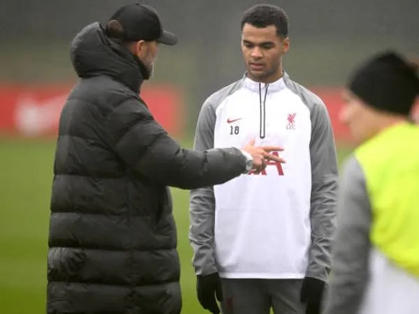 Klopp Memuji Peran Penghubung yang Dimainkan Cody Gakpo