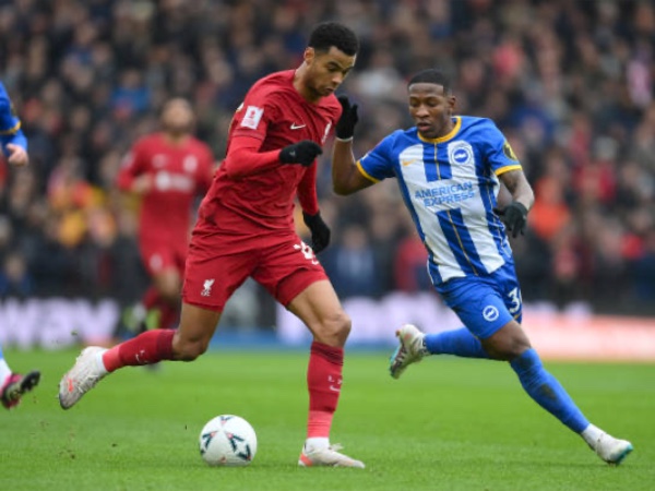 Liverpool Dapat ‘Tanda’ Positif dari Penampilan Gakpo