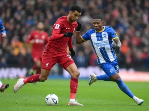 Liverpool Dapat ‘Tanda’ Positif dari Penampilan Gakpo