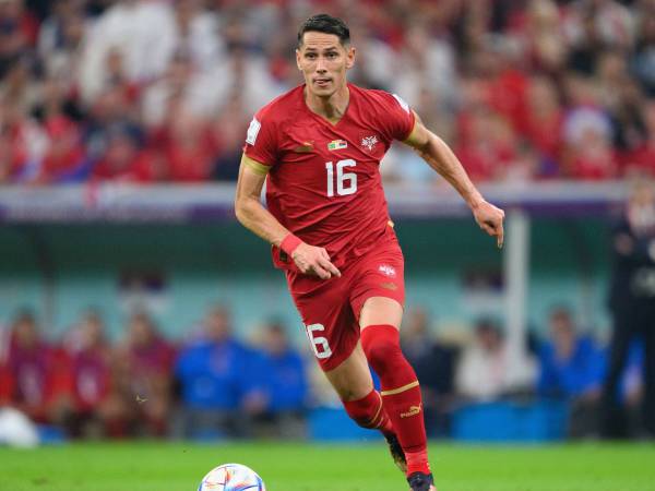 Fulham Konfirmasi Transfer Saša Lukić dari Torino