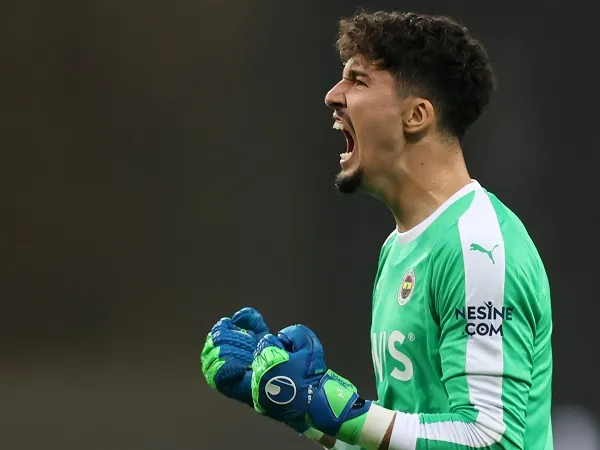 Altay Beyindir