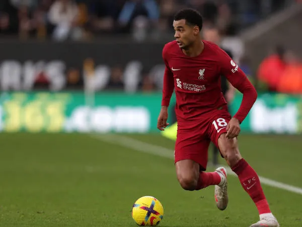 Gakpo Belum Bersinar, James Milner Suarakan Dukungan