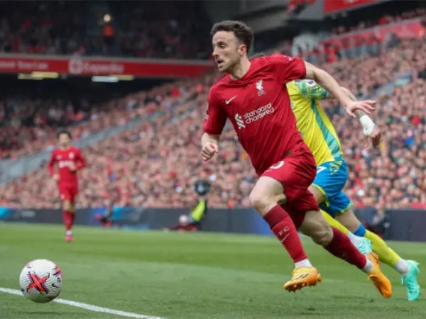 Mantan Striker Tottenham Sudah Sejak Lama Kagumi Diogo Jota