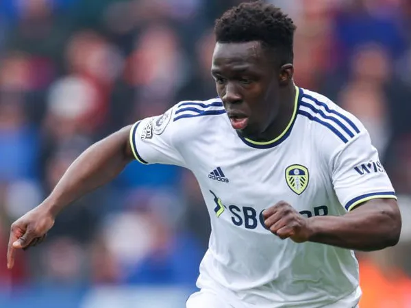 Tottenham Hotspur Tertarik Rekrut Wilfried Gnonto dari Leeds United