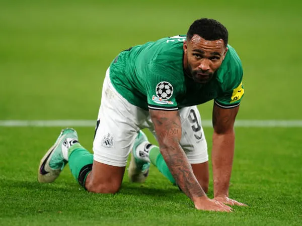 Daftar Cedera Newcastle United Bikin Frustrasi Callum Wilson