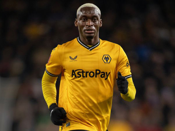 Usai Teken Kontrak Baru, Toti Hanya Fokus Pada Wolves