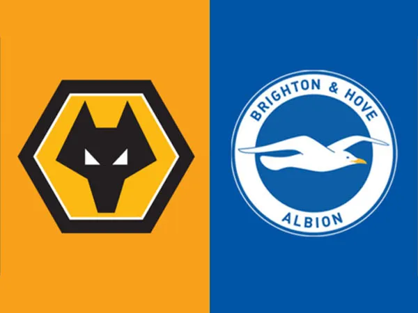 Fakta-fakta Menarik Jelang Laga Wolves vs Brighton