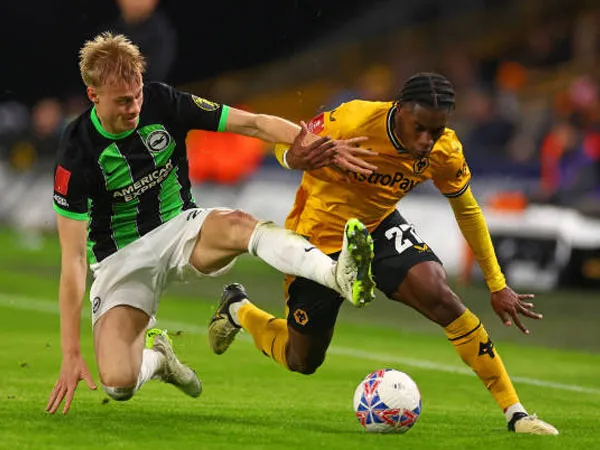 Statistik Menarik Setelah Wolves Menang 1-0 Atas Brighton