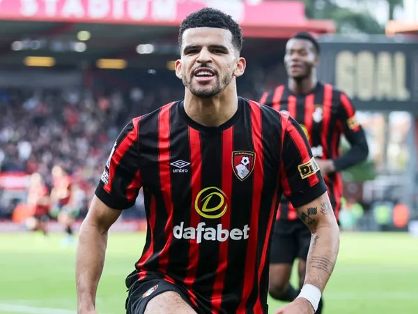Dominic Solanke.