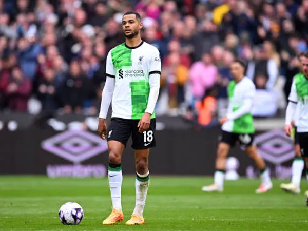 Ini Alasan Wasit Anthony Taylor Hentikan Peluang Cody Gakpo Membuat Gol