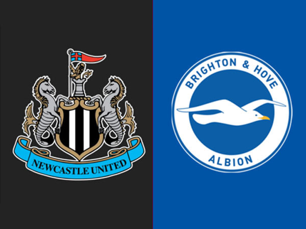 Update Terbaru Berita Tim Jelang Laga Newcastle United vs Brighton