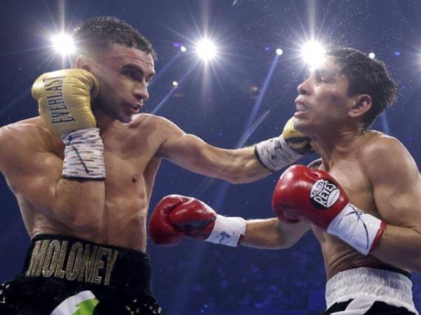 Andrew Moloney Janji Terus Bertinju, Ingin Rematch Dengan Pedro Guevara