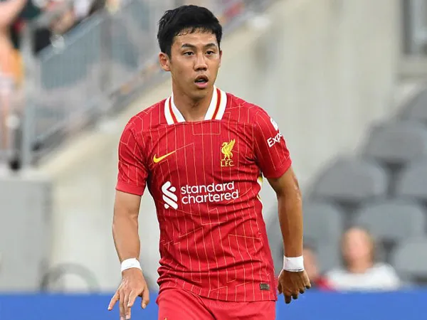 Wataru Endo.