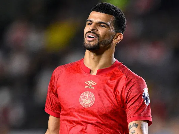 Dominic Solanke.