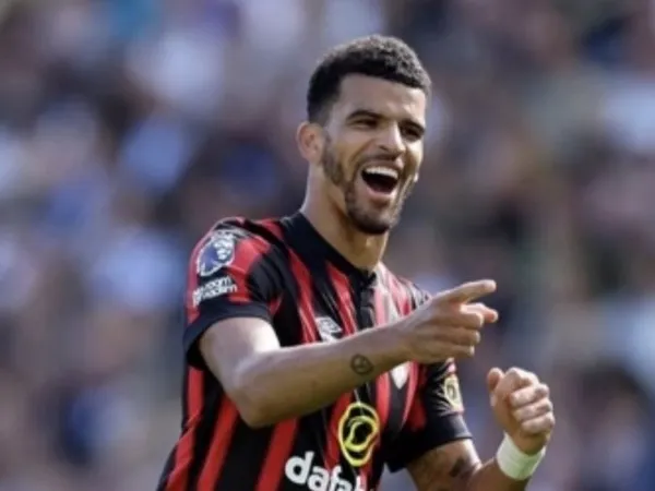 Solanke siap gabung Tottenham