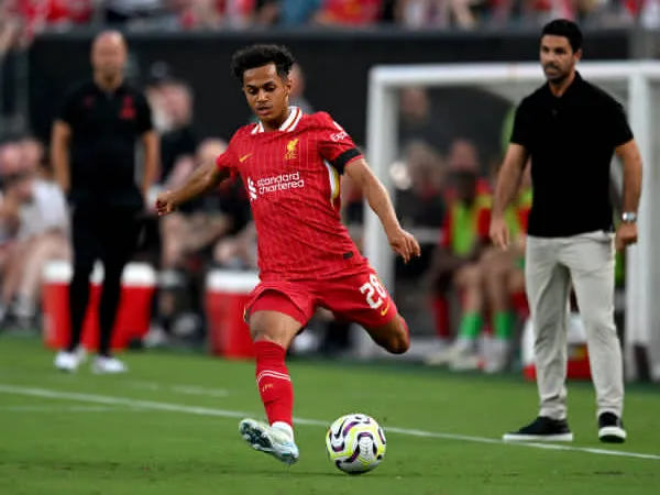 Arne Slot Berikan Update Tentang Status Fabio Carvalho di Liverpool