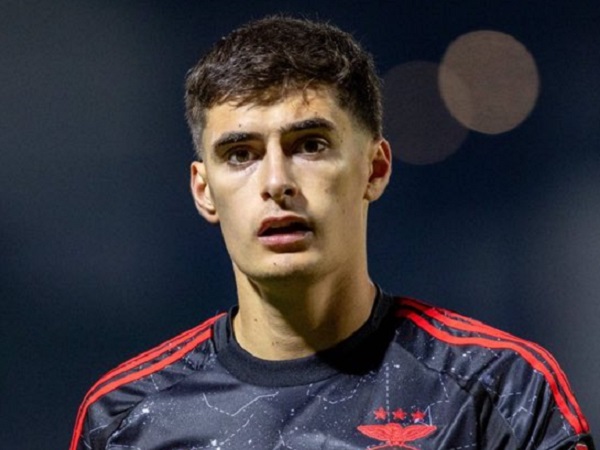 Benfica Tolak Tawaran Juventus untuk Antonio Silva