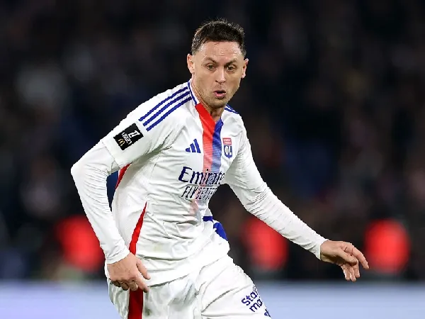 Ipswich Town Incar Nemanja Matic untuk Perkuat Lini Tengah