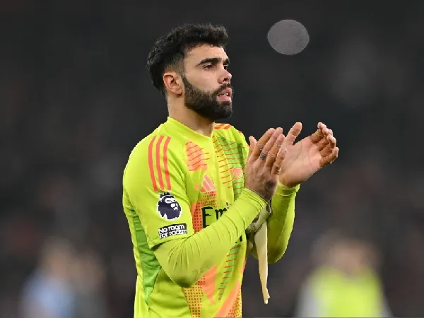 Kiper Arsenal, David Raya