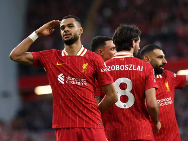 Liverpool Menang 4-1 Atas Ipswich, Cody Gakpo Raih Rating Tertinggi