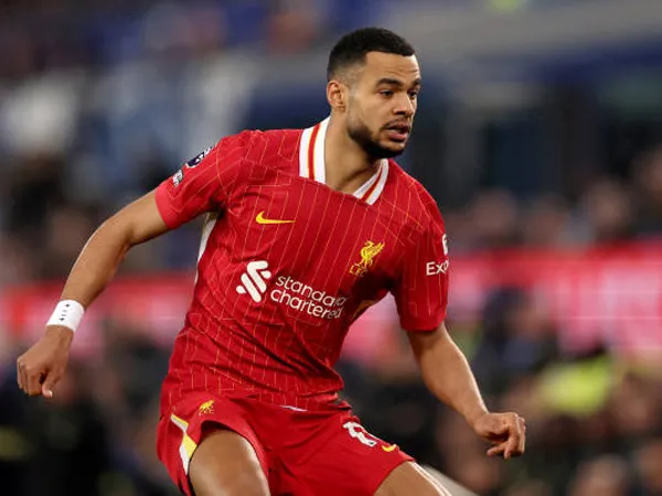 Ini Alasan Cody Gakpo Gagal Perkuat Liverpool Saat Lawan Wolves