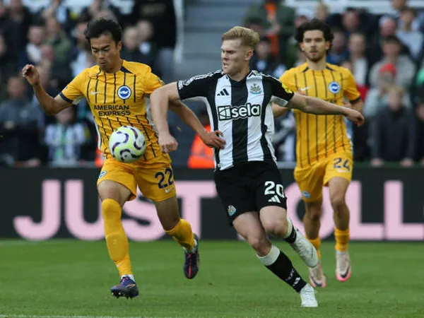 Fakta Menarik Jelang Laga Newcastle United vs Brighton di FA Cup