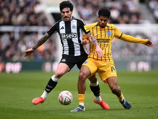 Drama 10 Lawan 10, Brighton Singkirkan Newcastle United di Piala FA