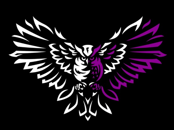 Noctem Esports Mengumumkan Akan Menutup Organisasi Selamanya