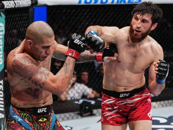 Magomed Ankalaev Rebut Sabuk Kelas Berat Ringan UFC Dari Alex Pereira
