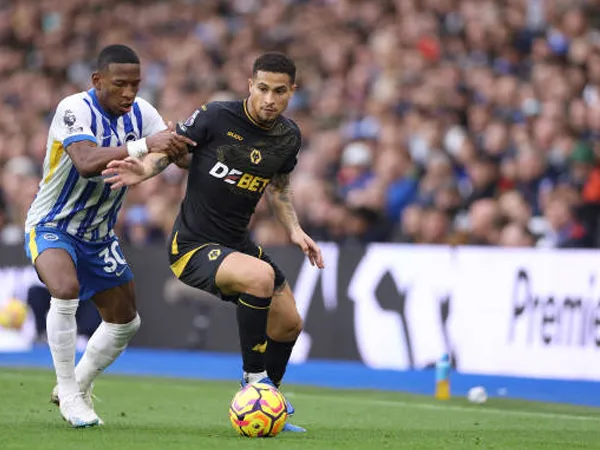 5 Fakta Menarik Jelang Duel Wolves vs Brighton di Premier League