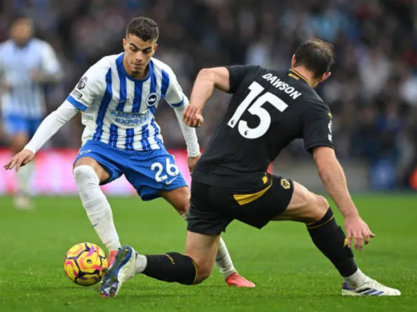 Melirik Catatan Tim Tamu Jelang Wolves vs Brighton di Premier League