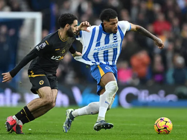 Melirik Catatan Tuan Rumah Jelang Wolves vs Brighton di Premier League