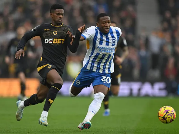 Update Terbaru Kondisi Tim Jelang Wolves vs Brighton di Premier League