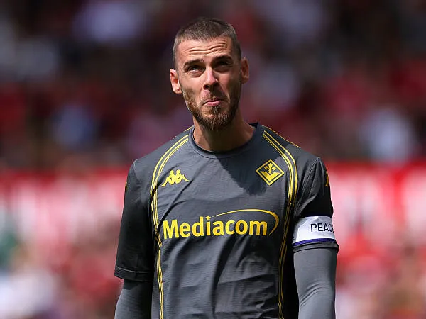 David De Gea via gettyimages