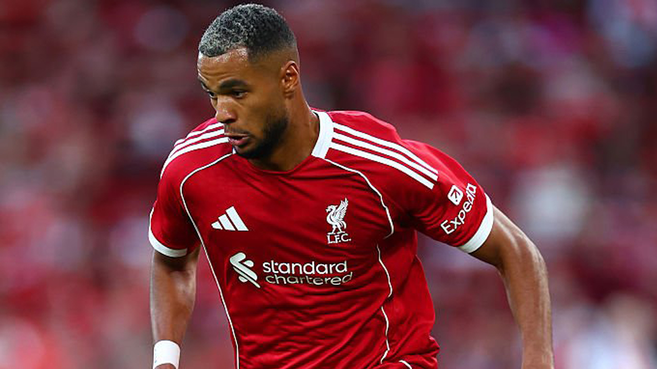 Cody Gakpo Komentari Kekalahan Liverpool di Markas Chelsea