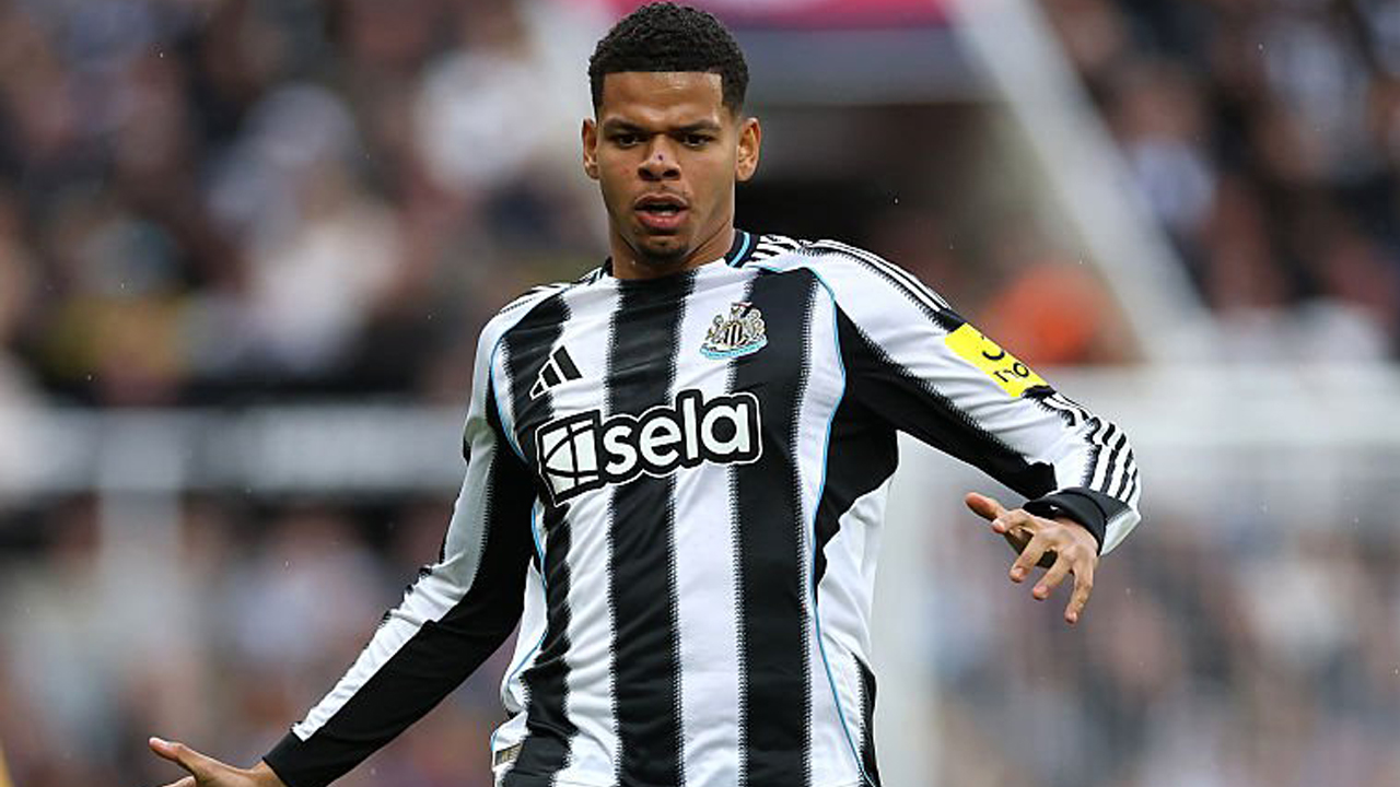 Eintracht Frankfurt Lirik William Osula Lewat Skema Pinjaman