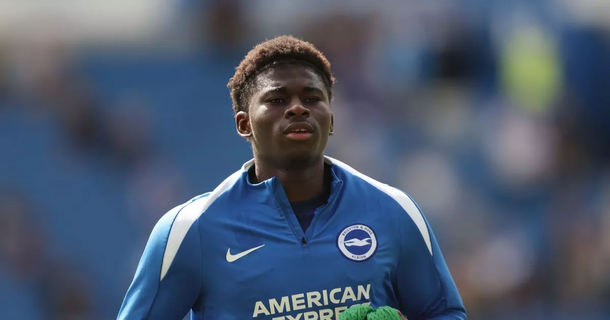 Progres Transfer Carlos Baleba ke Manchester United